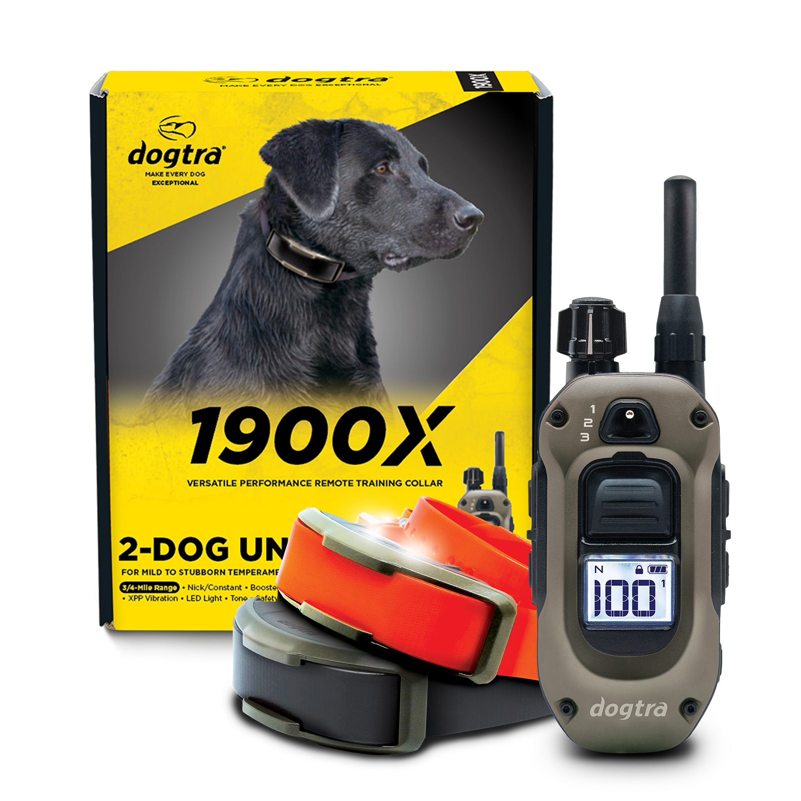 1900x-collection_2-dog.png?v=