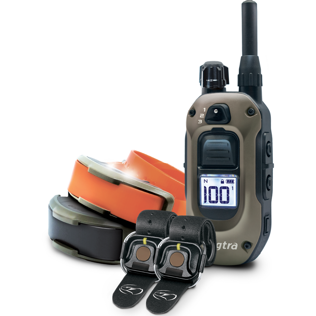 1900X 2-DOG UNIT + (2) HANDSFREE SQUARES