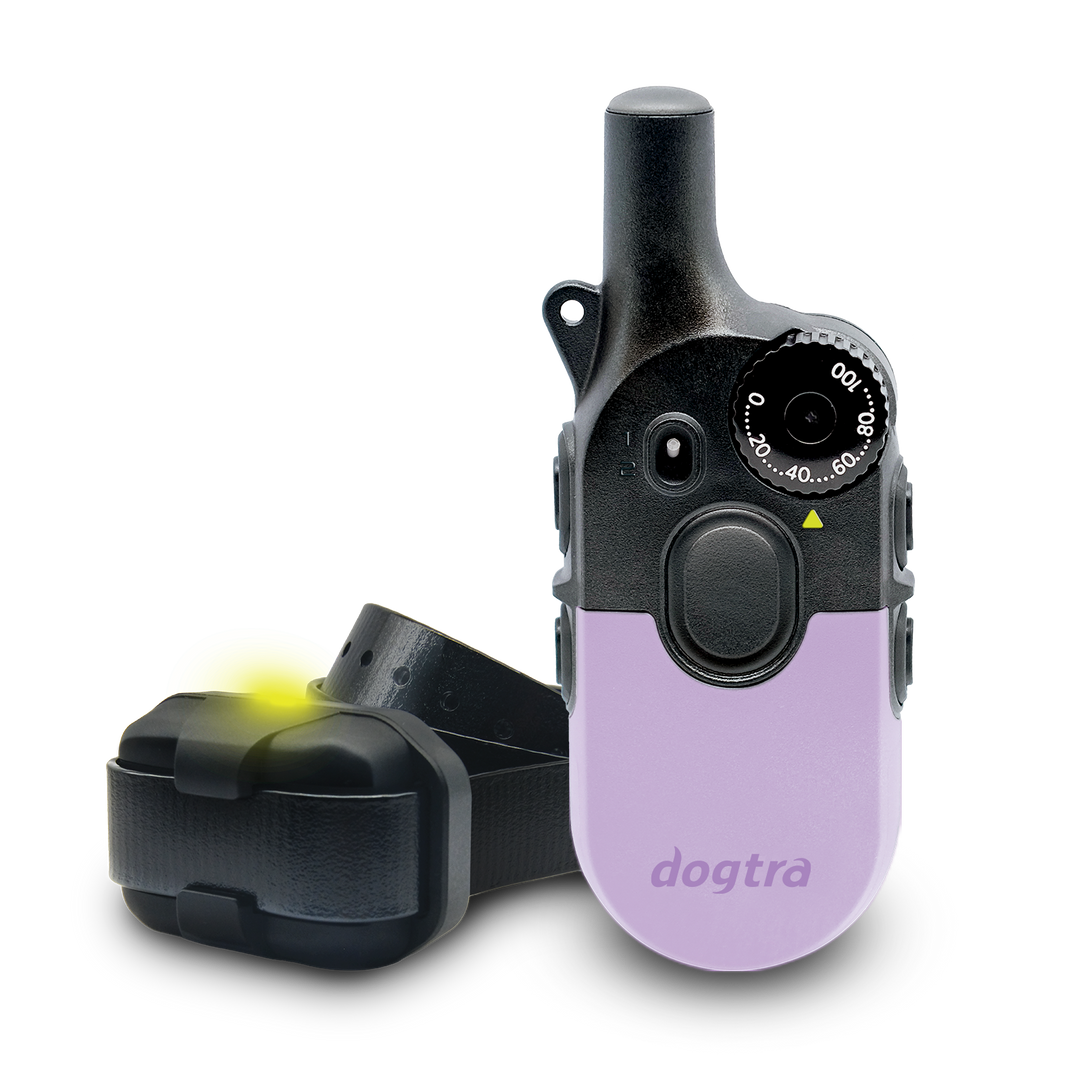 200iQ LAVENDER SLIP RESISTANT