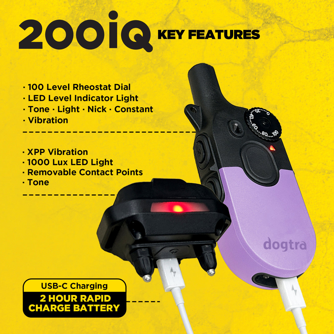 200iQ LAVENDER SLIP RESISTANT