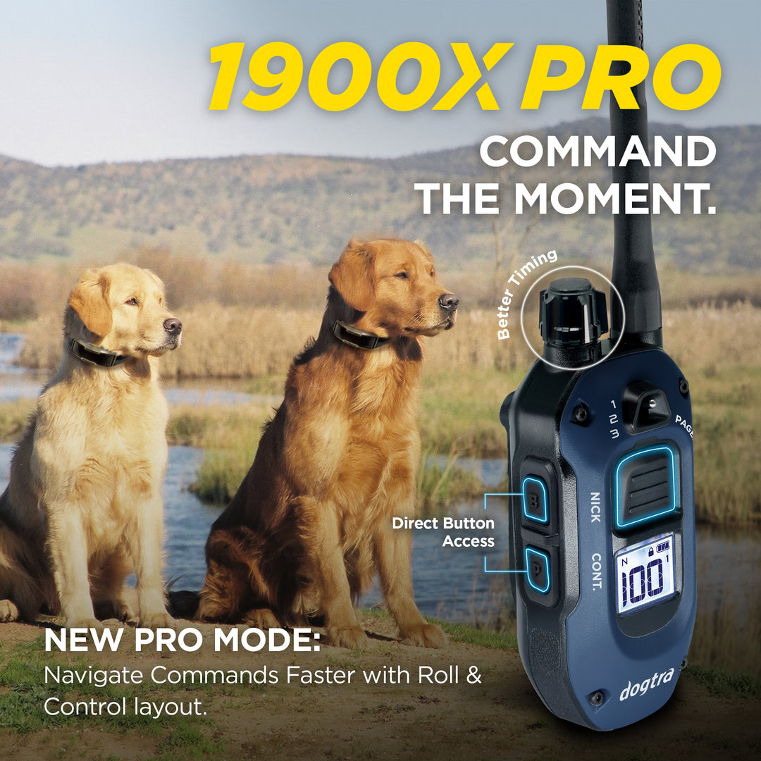 1900X PRO 1-DOG UNIT