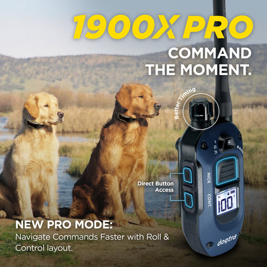 1900X PRO 1-DOG UNIT