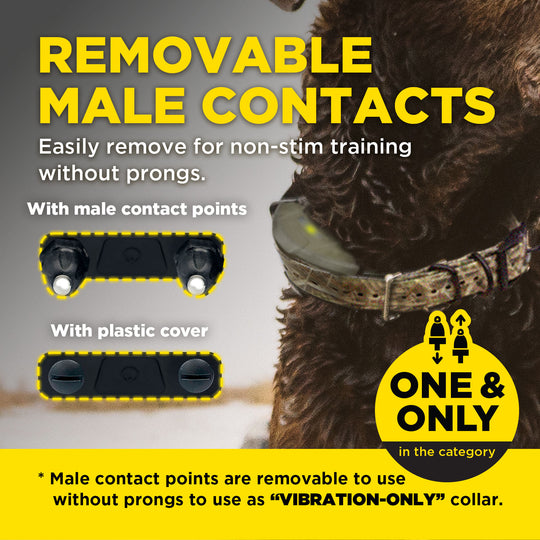 1900X CAMOUFLAGE ADDITIONAL RECEIVER