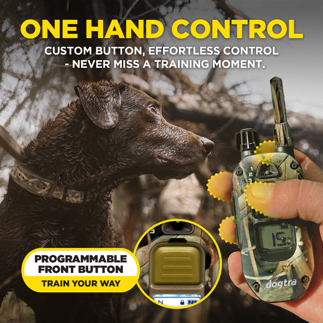 1900X CAMOUFLAGE 1-DOG UNIT