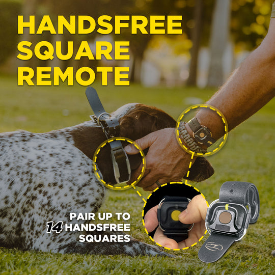 1900X HANDSFREE 1-DOG UNIT
