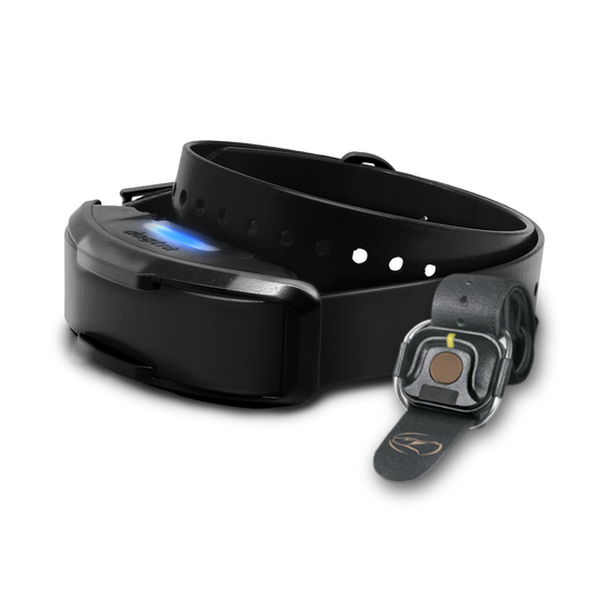 1900X BLACK EDITION ADDITIONAL RECEIVER