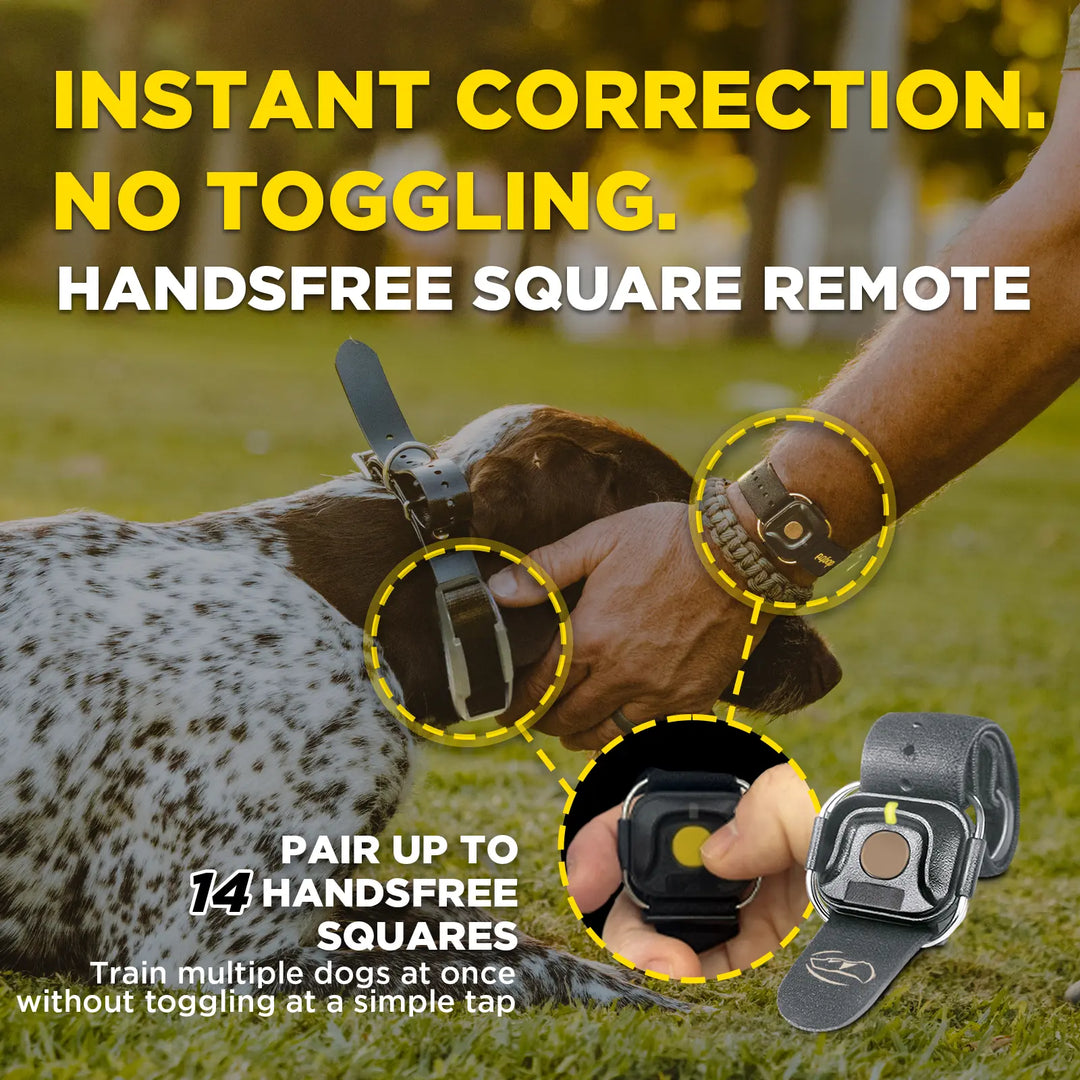 1900X HANDSFREE 1-DOG UNIT