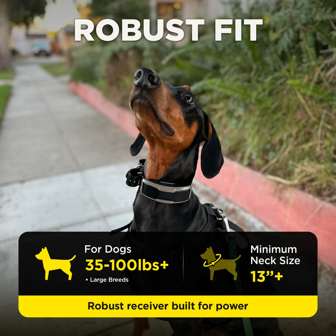 1900X 1-DOG UNIT