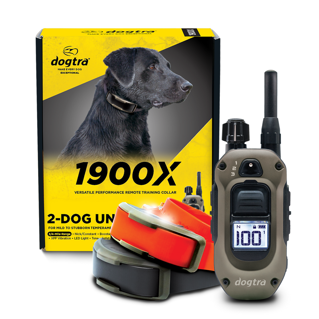 1900X 2-DOG UNIT – MyDogtra.com