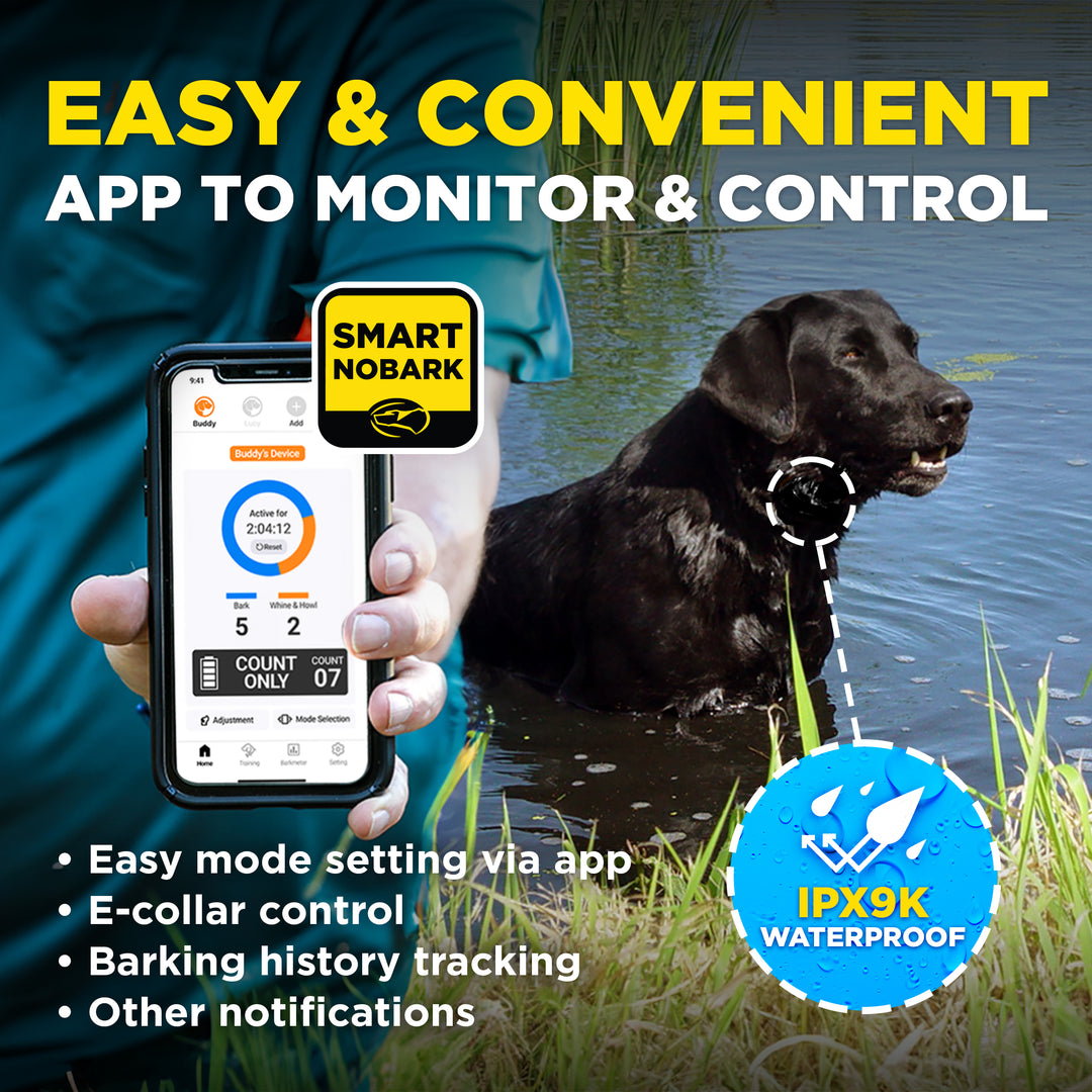 DOGTRA SMART NOBARK