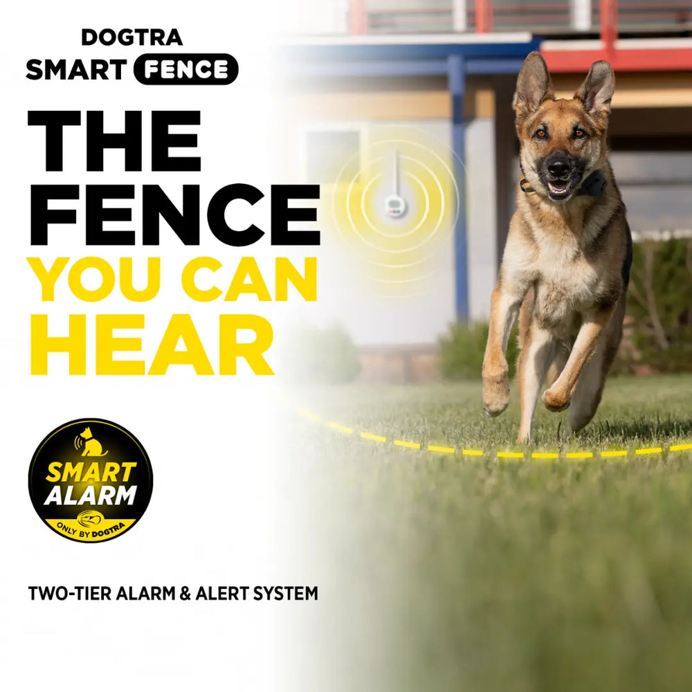 DOGTRA SMART FENCE