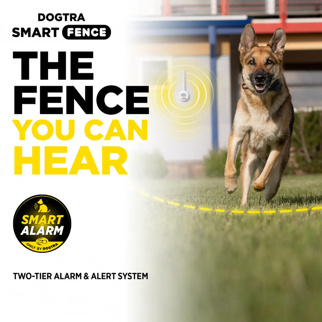 DOGTRA SMART FENCE