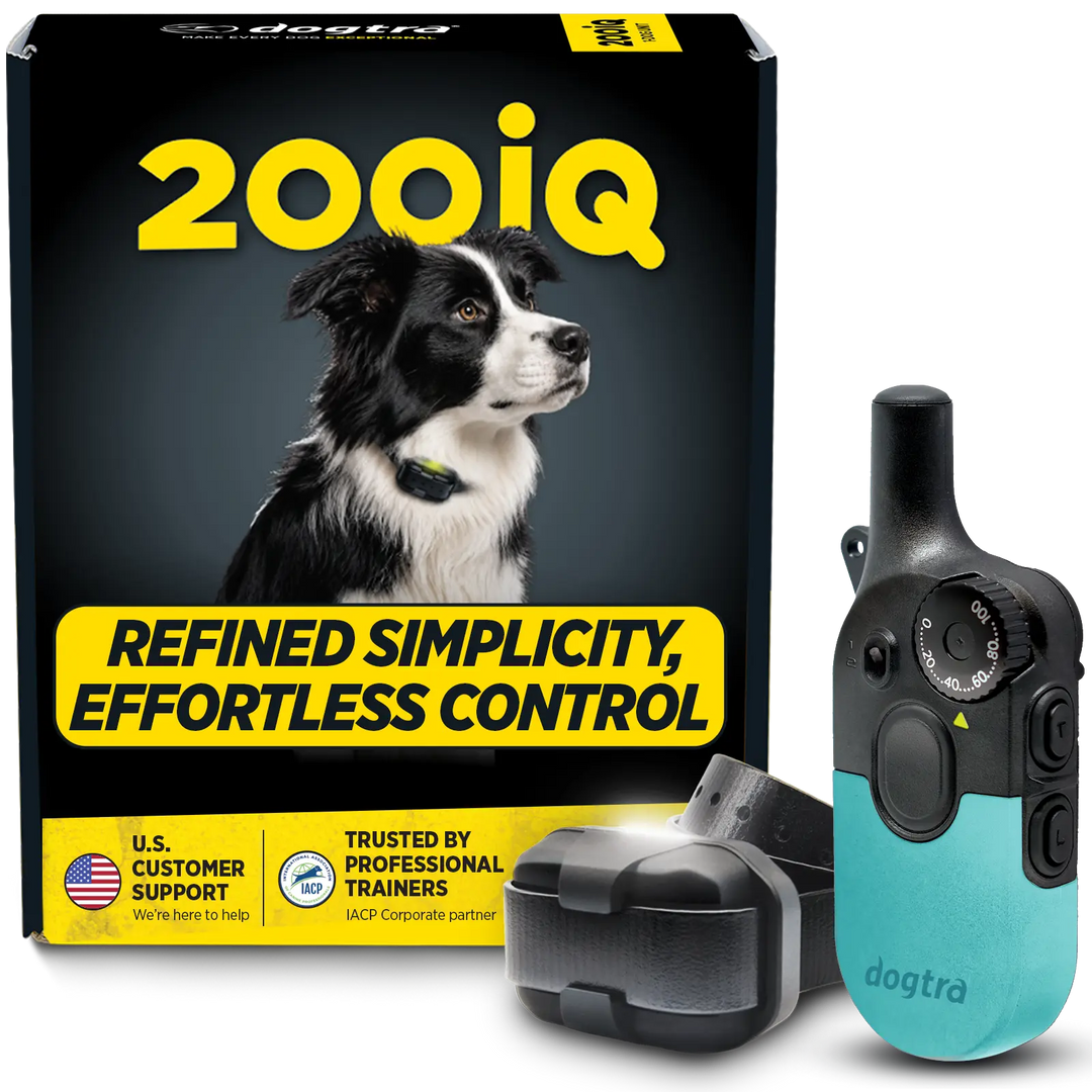 200iQ TEAL