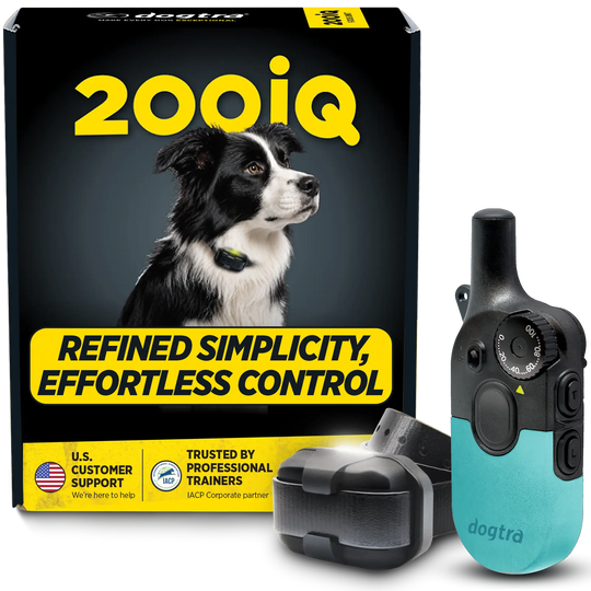 200iQ TEAL