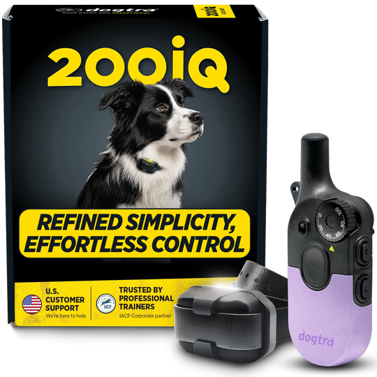 200iQ LAVENDER SLIP RESISTANT