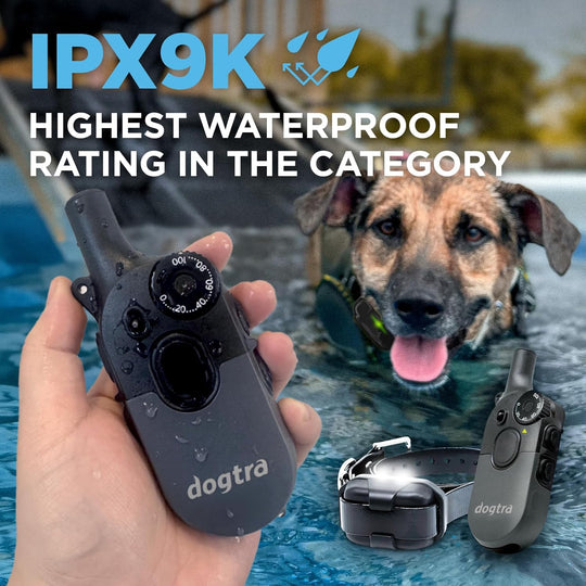 200iQ 2-DOG UNIT