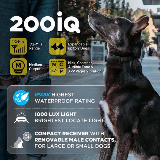 200iQ 2-DOG UNIT