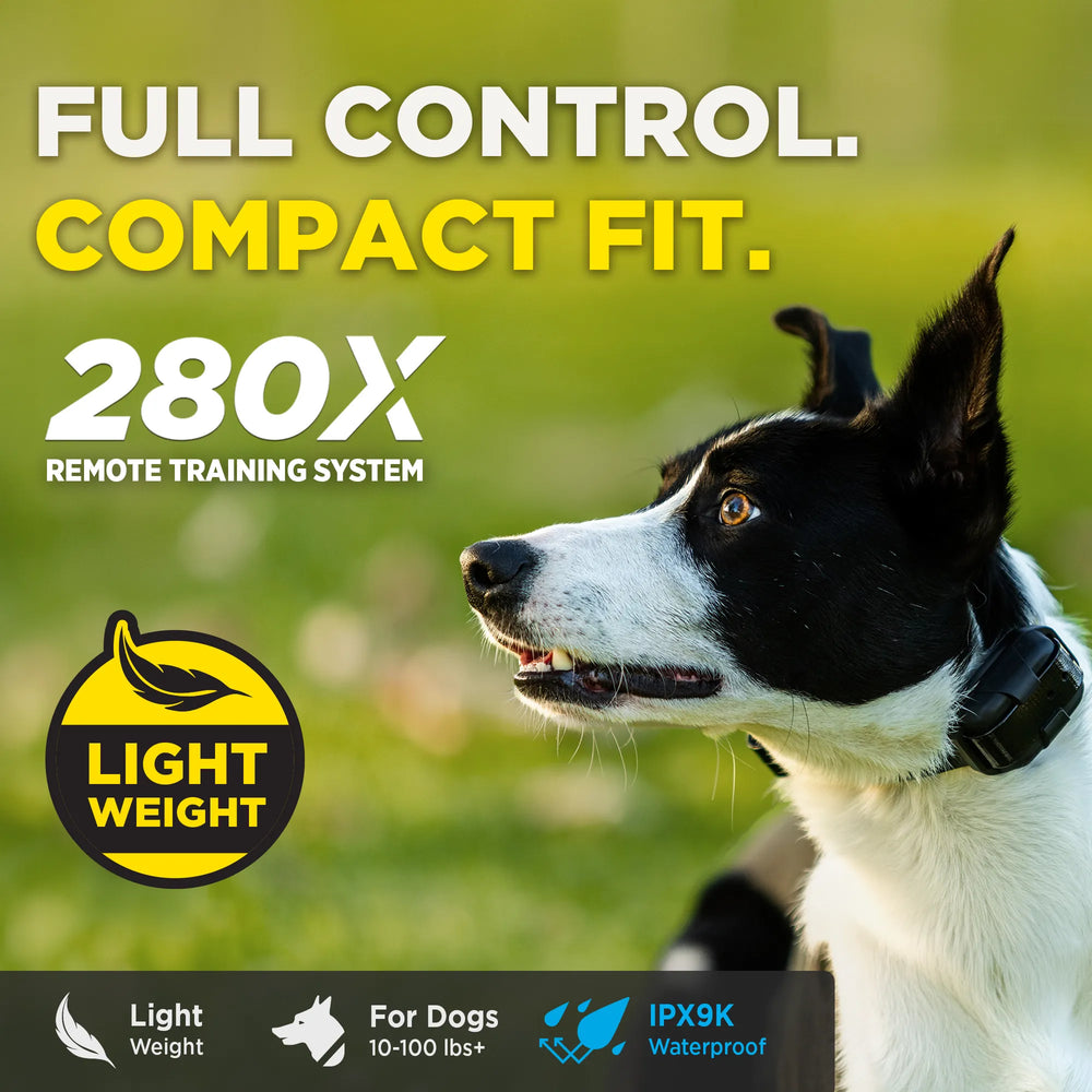 280X 1-DOG UNIT