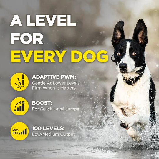 280X 1-DOG UNIT