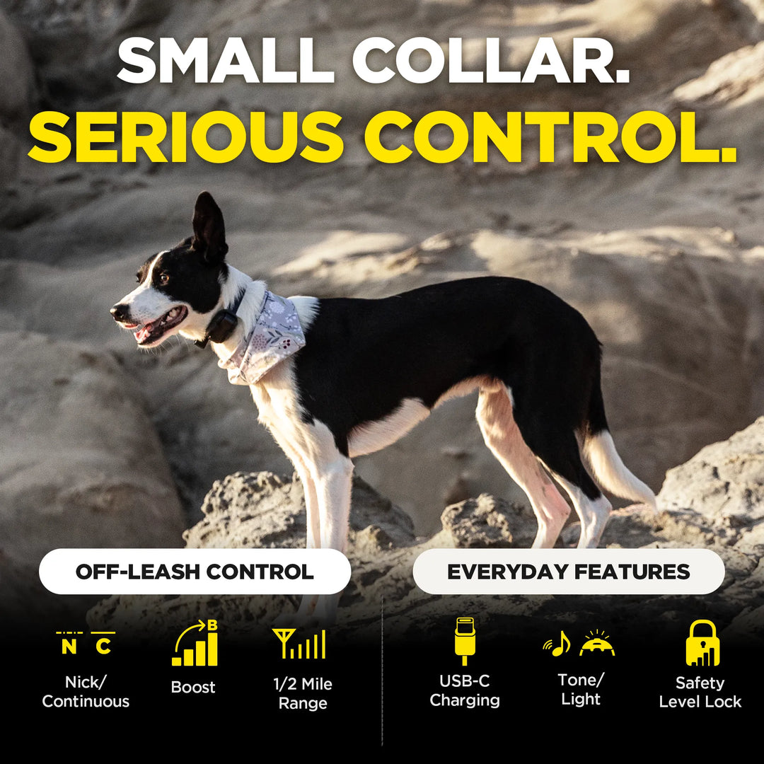 280X 1-DOG UNIT