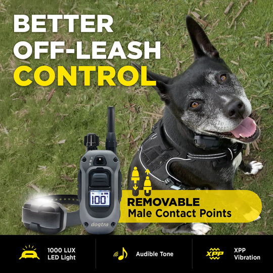 280X 1-DOG UNIT