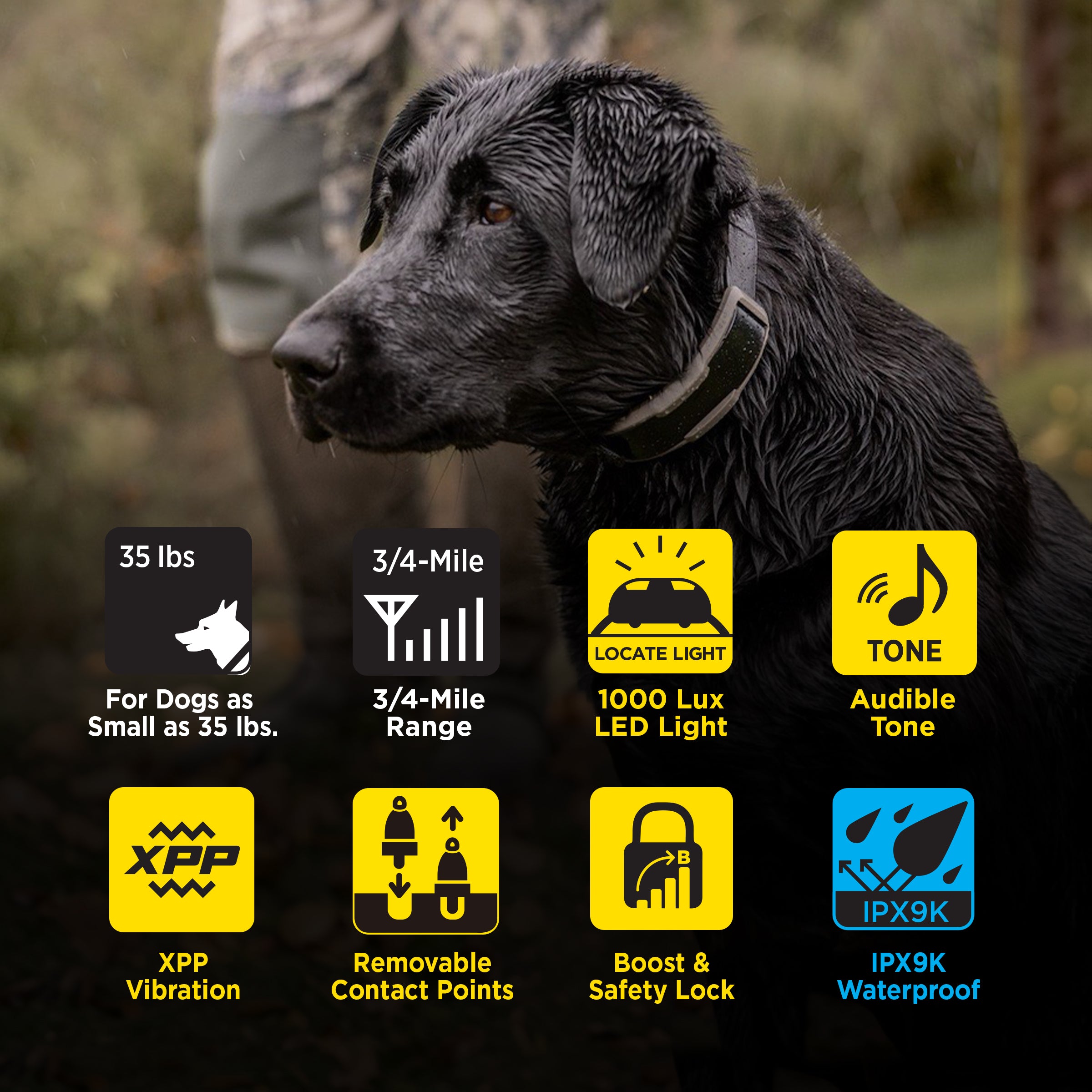 1900X 2-DOG UNIT – MyDogtra.com