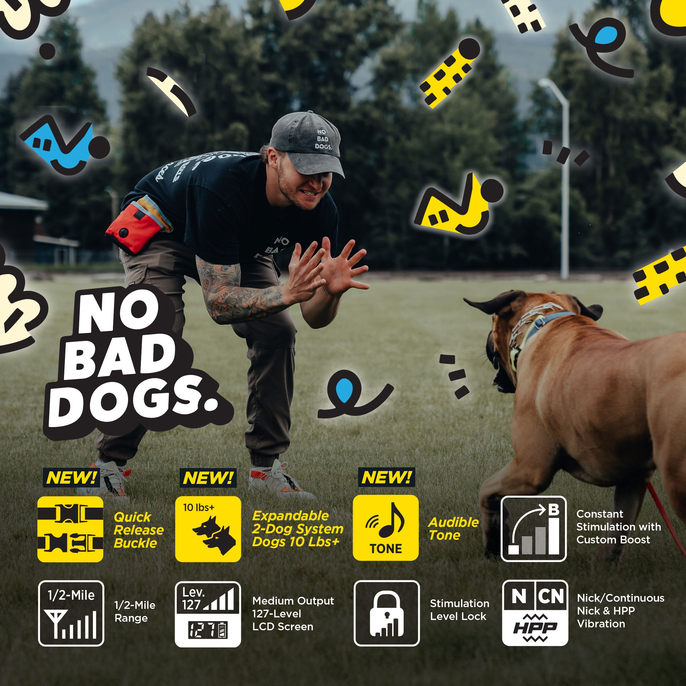TOM DAVIS EDITION 280C 2.0 – MyDogtra.com