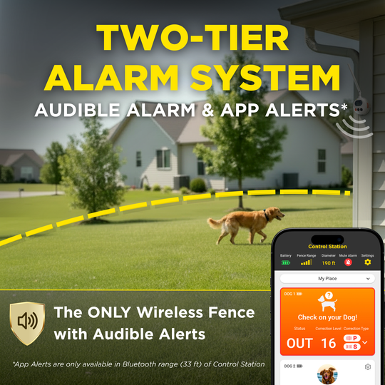 DOGTRA SMART FENCE