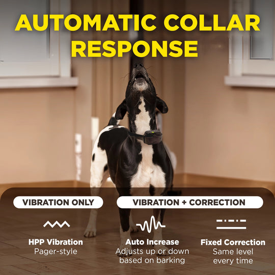DOGTRA SMART NOBARK