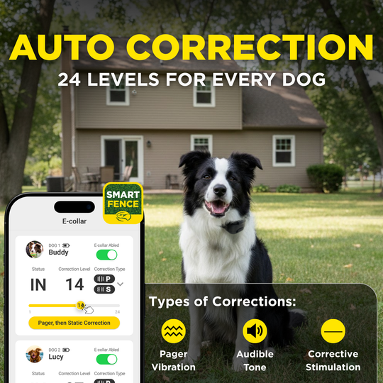 DOGTRA SMART FENCE