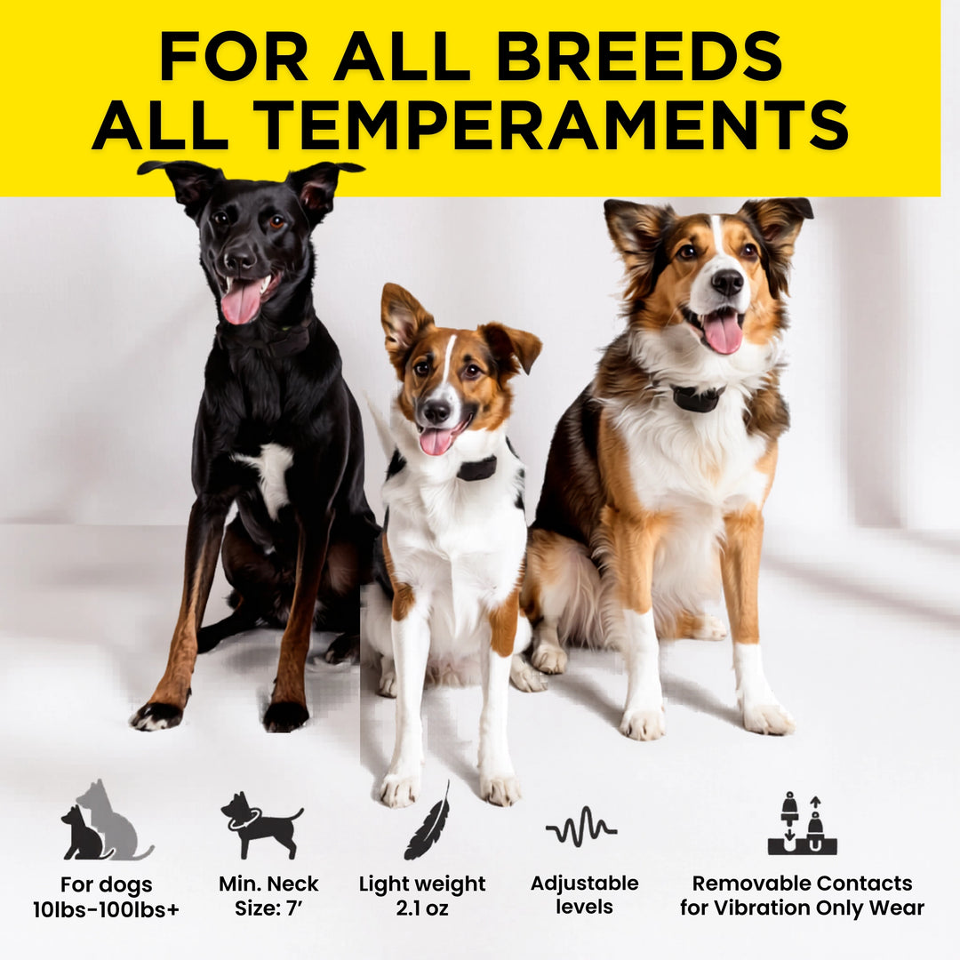 DOGTRA SMART NOBARK
