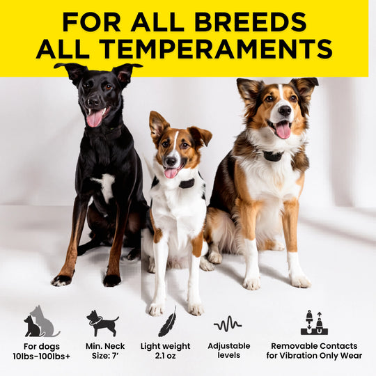 DOGTRA SMART NOBARK