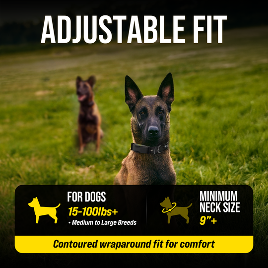 ARC-X 1-DOG UNIT
