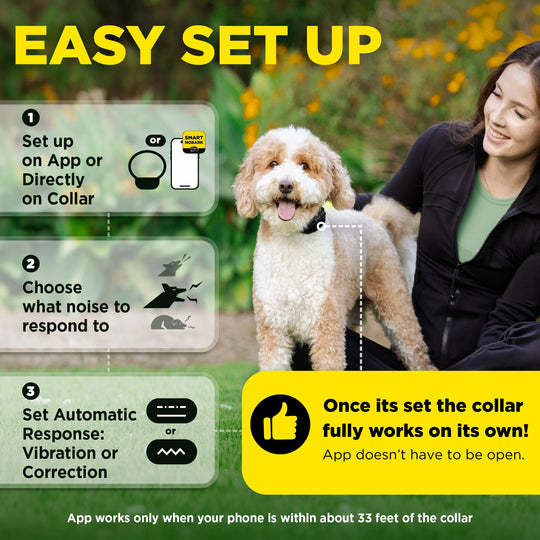 DOGTRA SMART NOBARK