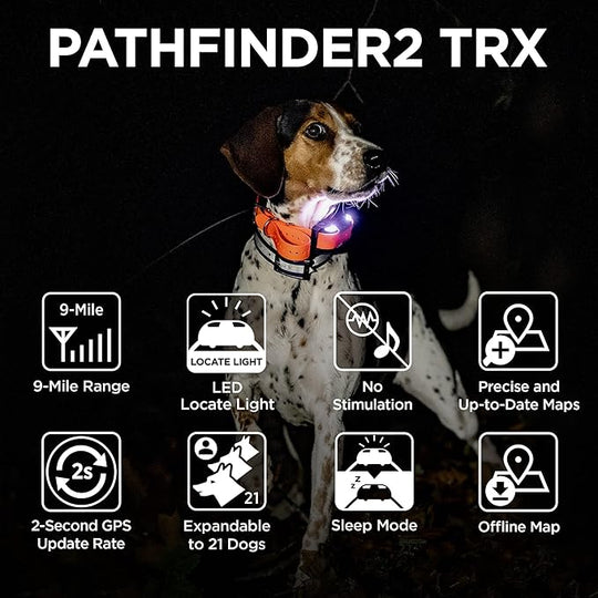 PATHFINDER2 TRX RECEIVER - ORANGE
