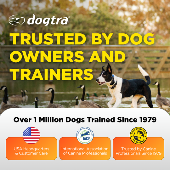 DOGTRA SMART FENCE