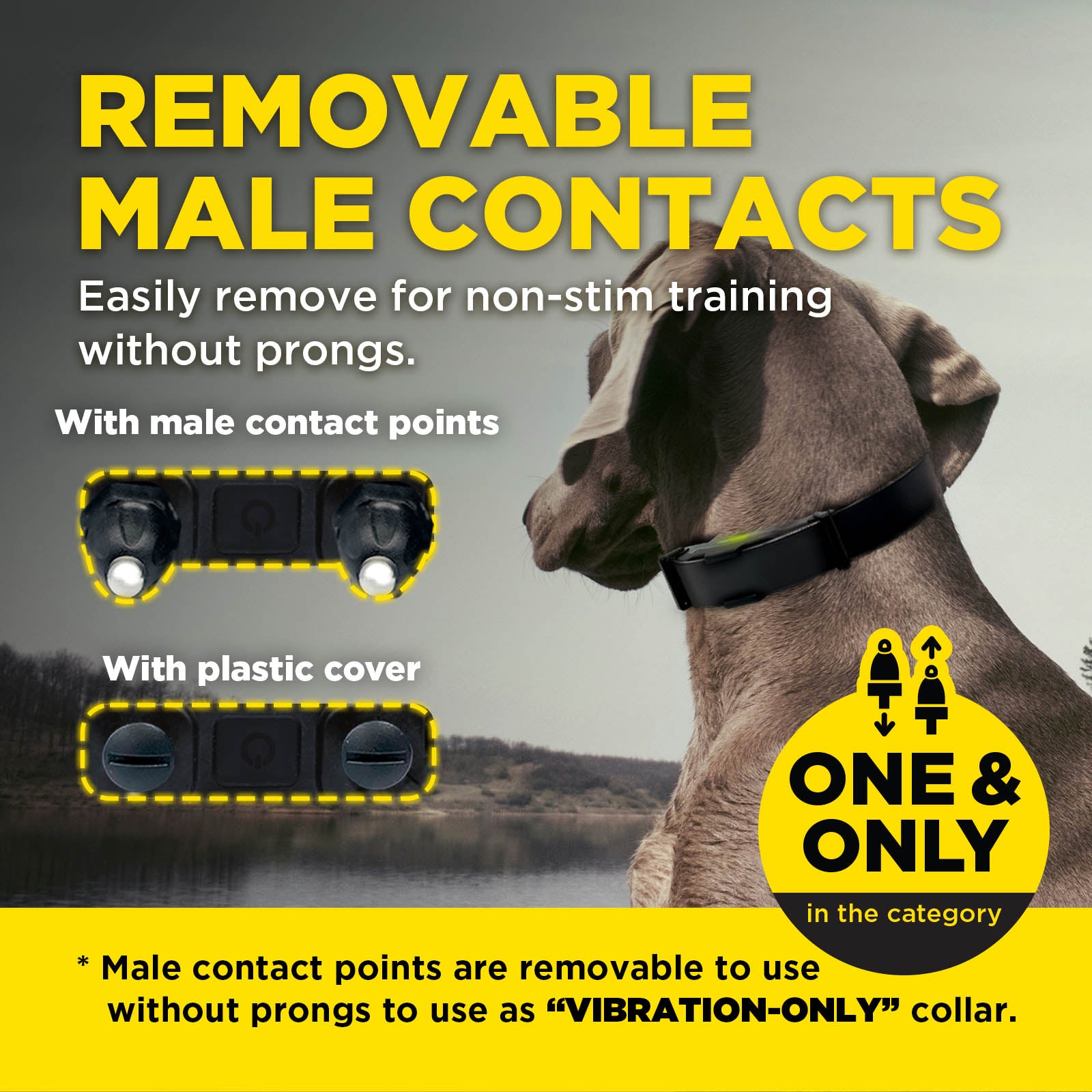 ARC-X 1-DOG UNIT – MyDogtra.com