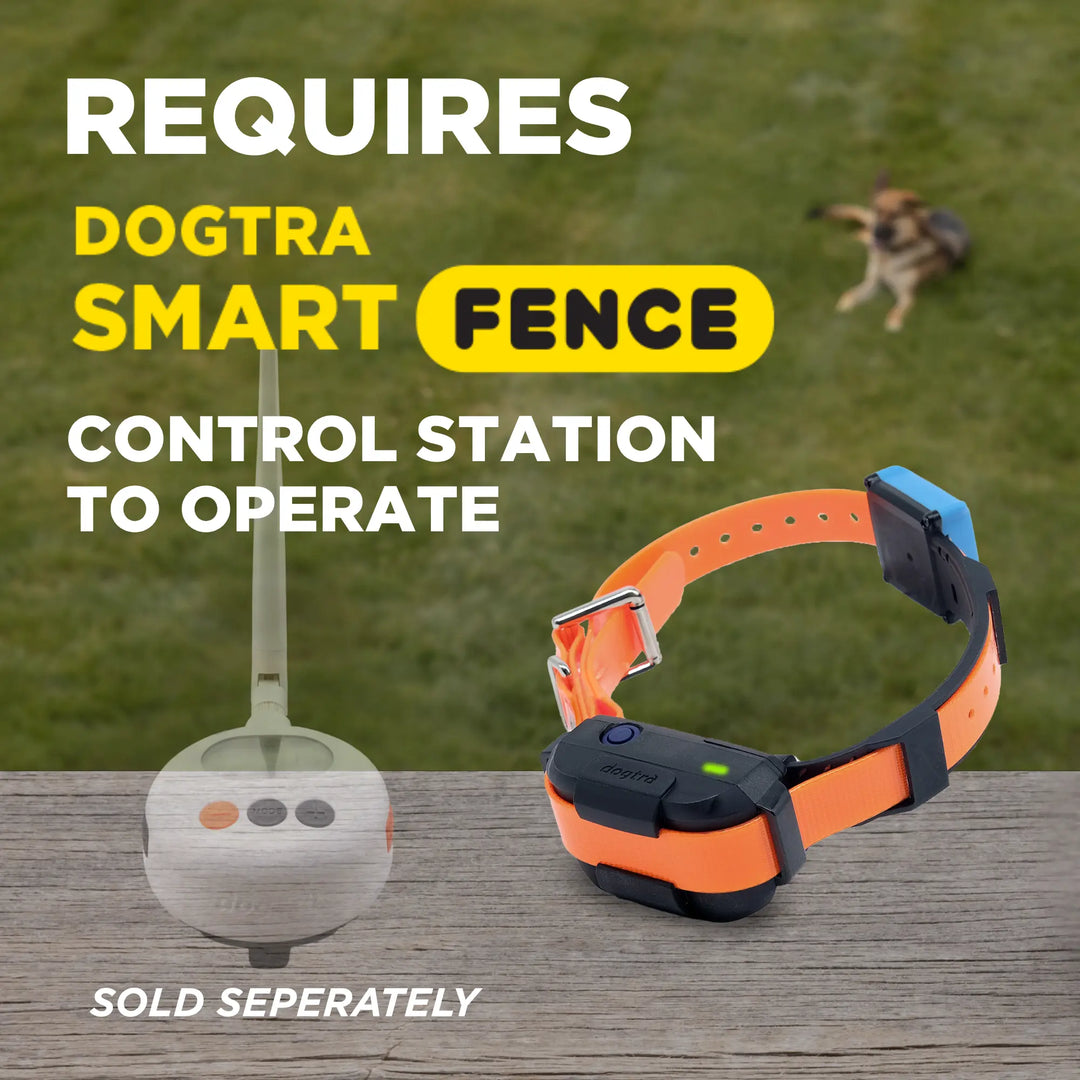DOGTRA SMART FENCE ADDITIONAL RECEIVER