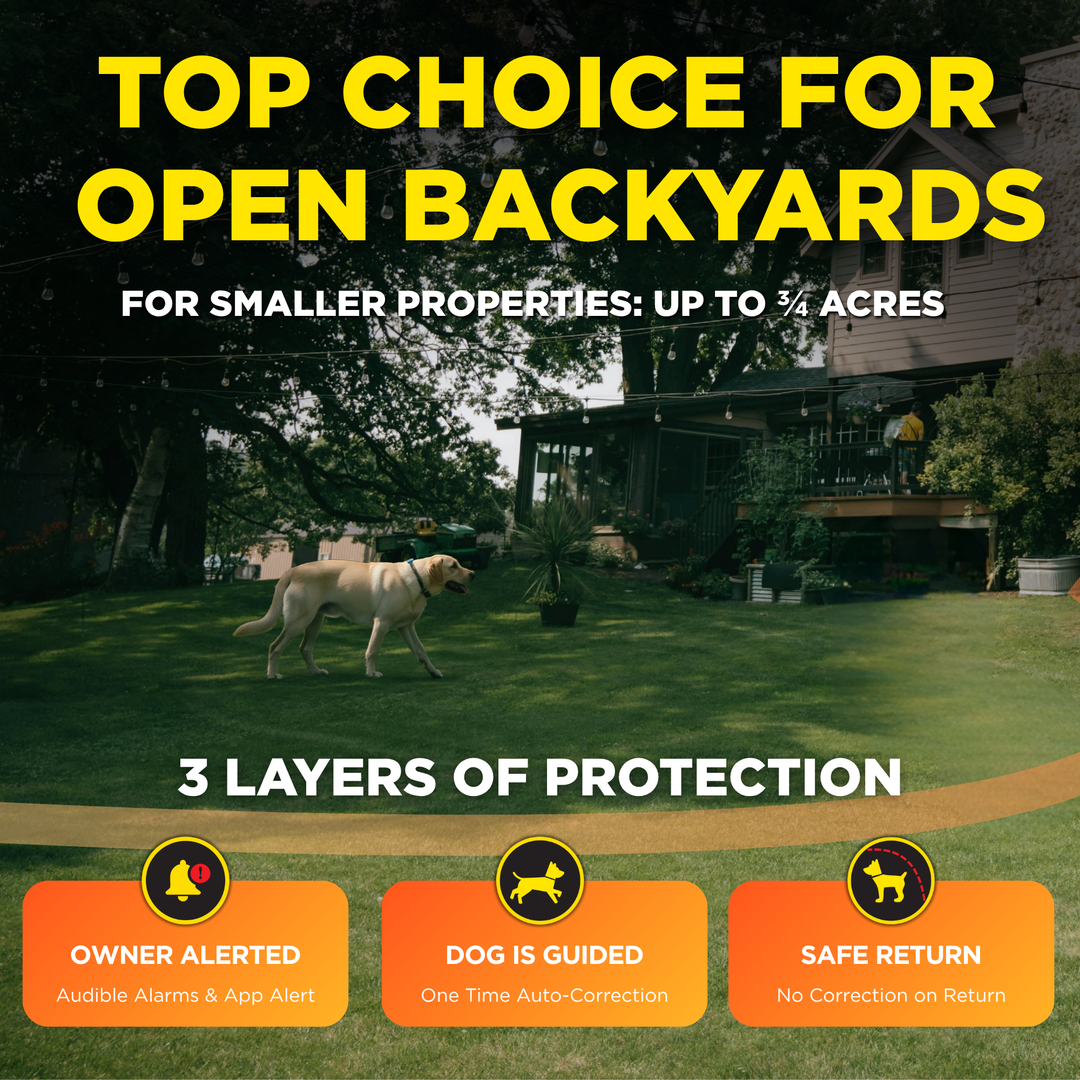 DOGTRA SMART FENCE