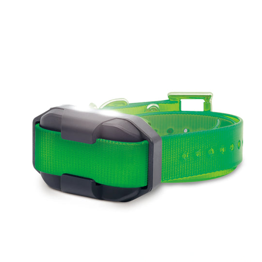 EDGE2 ADDITIONAL RECEIVER GREEN