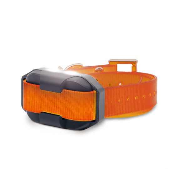 EDGE2 ADDITIONAL RECEIVER ORANGE