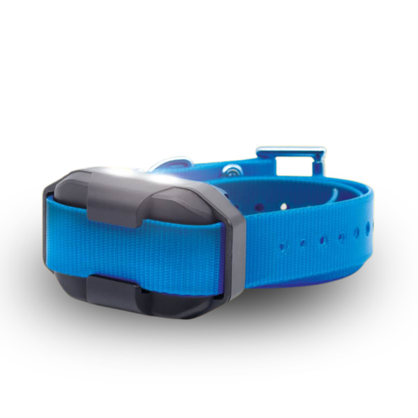 EDGE2 ADDITIONAL RECEIVER BLUE