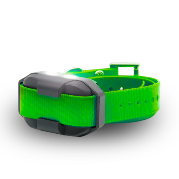 EDGE2 ADDITIONAL RECEIVER GREEN