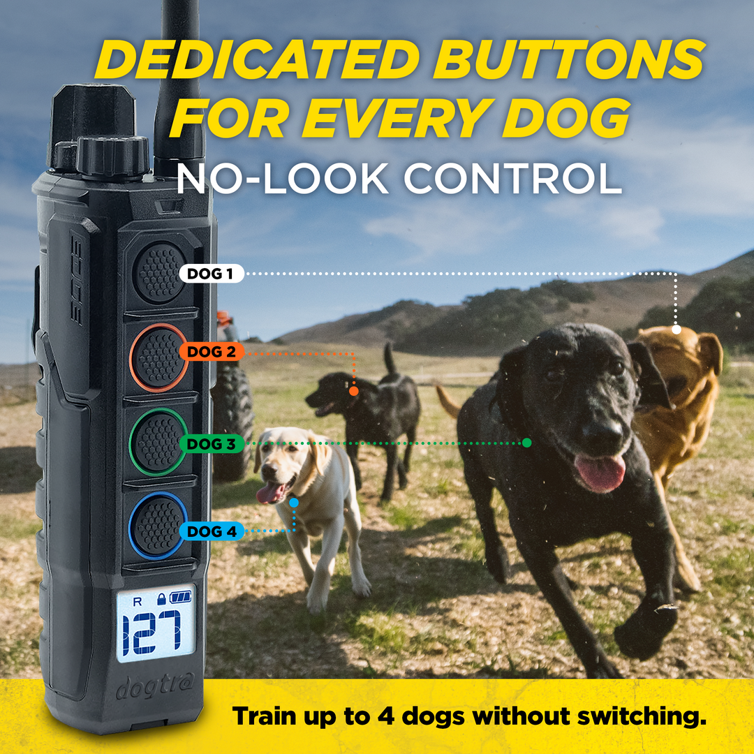 EDGE2 1-DOG UNIT