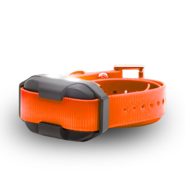 EDGE2 ADDITIONAL RECEIVER ORANGE