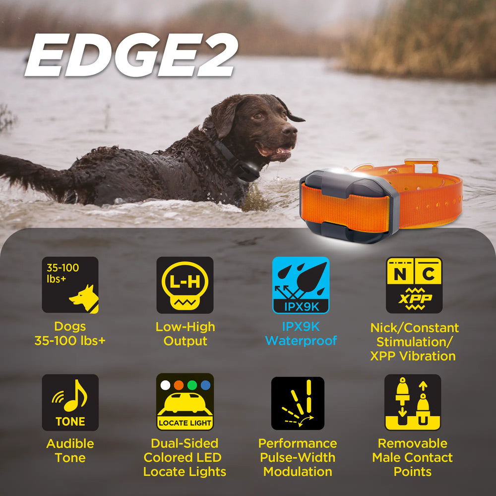 EDGE2 ADDITIONAL RECEIVER ORANGE