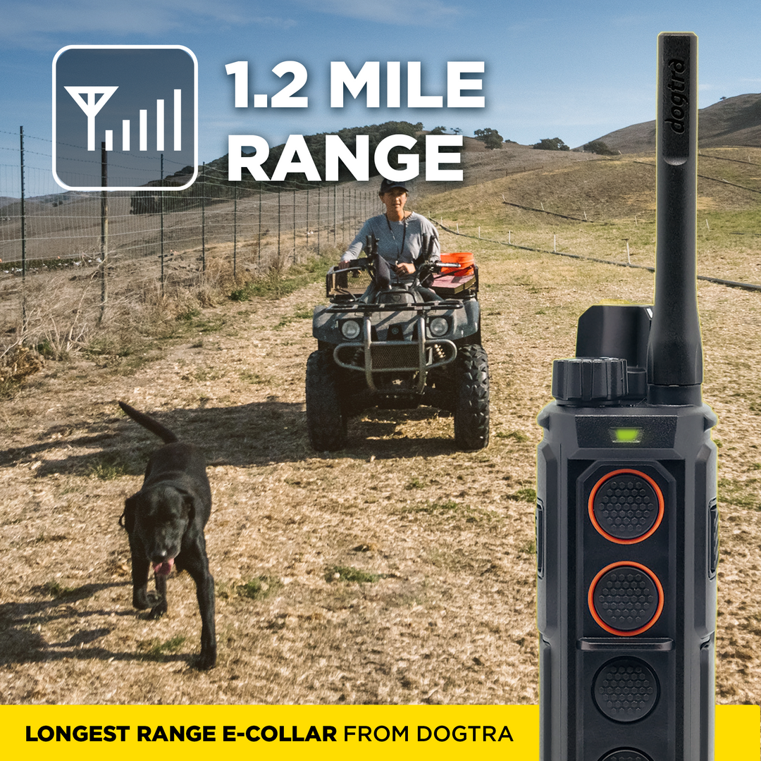 EDGE RT2 1-DOG UNIT