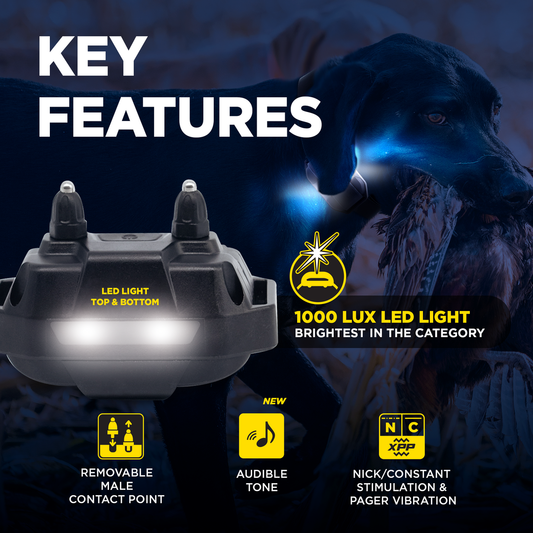 EDGE RT2 1-DOG UNIT