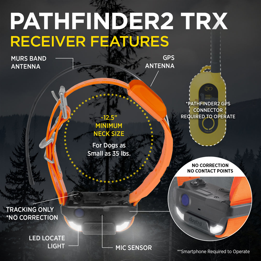 PATHFINDER2 TRX RECEIVER - ORANGE