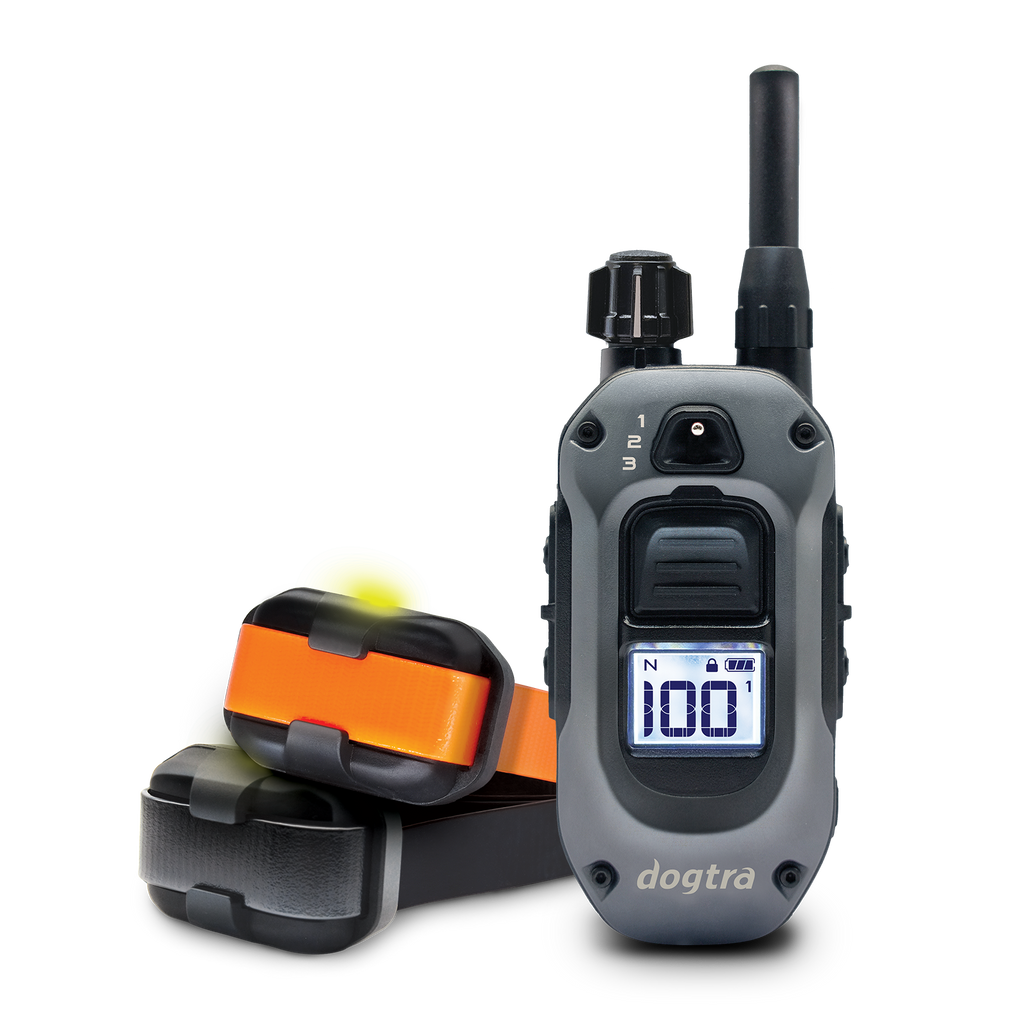 シークエンストナー、CQ2 Listing-image_2dog_1024x1024.